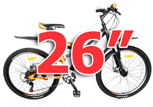 26